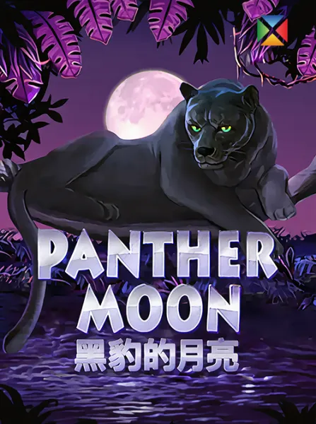 Panther Moon