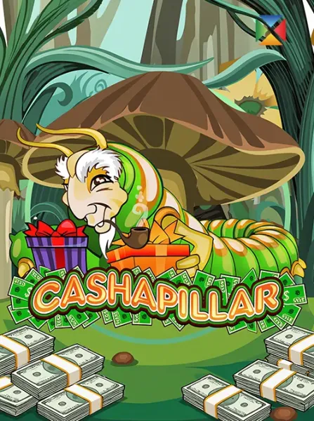 Cashapillar