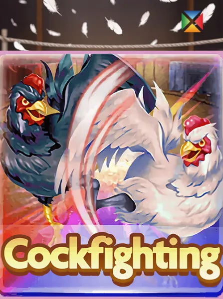 CockFighting