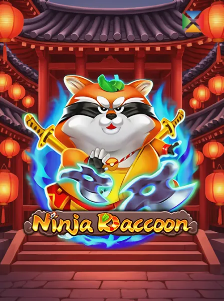Ninja Raccoon