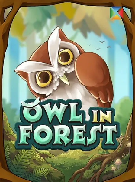 Owl In Forest