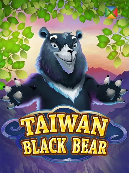 Taiwan Black Bear