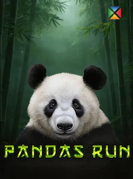 Panda's Run