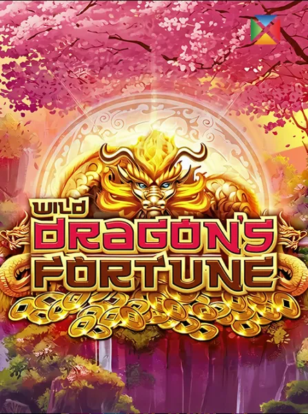 Wild Dragon's Fortune